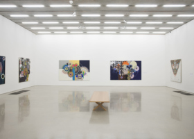 1Beatriz-Milhazes-Jardim-Botânico-install-7-oriol-tarridas