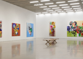 3Beatriz-Milhazes-Jardim-Botânico-install-12-oriol-tarridas