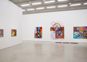 5Beatriz-Milhazes-Jardim-Botânico-install-10-oriol-tarridas