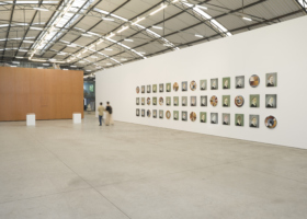 ADV_Polvo_ Galeria Fortes Vilaça_DDH_9