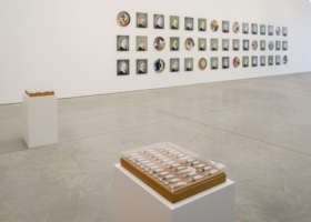 ADV_Polvo_Galpão Fortes Vilaça_DDH_5