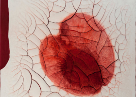 ADV10231_Heliamphora Pulchella_DDH