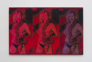 alc10001_amazons-painting-iv