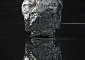 armando-andrade-tudela_ART00102_Masa