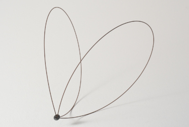 Carlos Bevilacqua_CB00244_Borboleta_Butterfly