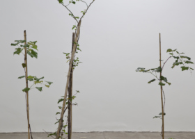 CWE_Galeria Fortes Vilaça_DDH_32