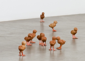 EA10035_Pintinhos_DDH_1