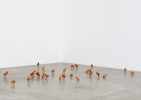 EA10035_Pintinhos_DDH