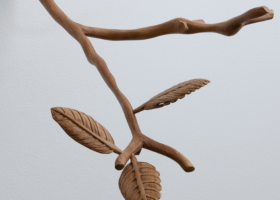 EA10065_Quintal_Copped_DDH