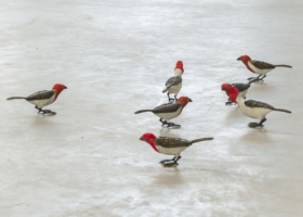 EA10154_Uma coisa linda_DDH_17