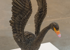 EA10184_Cisne Negro_DDH_2