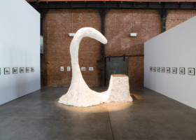 EV10815_Swan with Stage_DDH_1