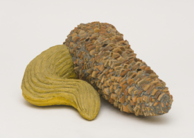 IM00024_Untitled_DDH_2