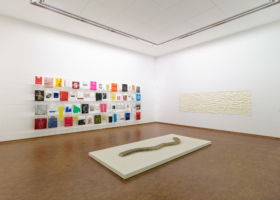 jac-leirner_JL_Installation4