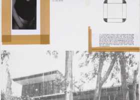 JS10051_111. Neutra Yellow_DDH