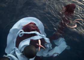 JT010490_Dormant (Bellidae)_DDH