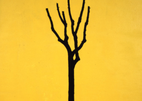 juliao-sarmento_JS10076_Ossos_17_DDM