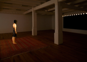 juliao-sarmento_JS10079_Film Noir_with carpet_generico 21_DDM4