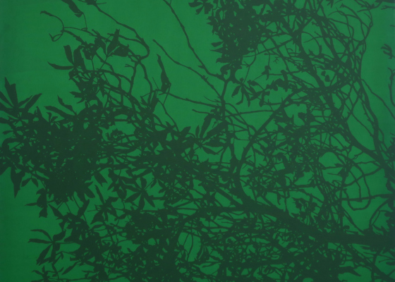 juliao-sarmento-js10080-