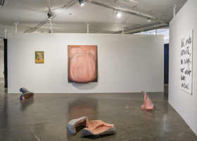 LC_Afinidades Afetivas_33 Bienal de Sao Paulo_DDM10