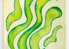 LC10533_Cinco Partes_DDM