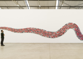 LOS10178_Constrictora_2