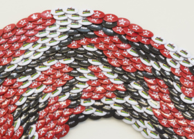 LOS10178_Constrictora_4