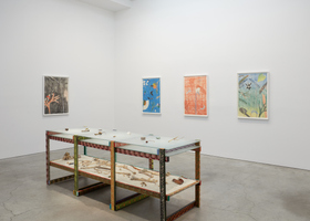 LZ_Vista geral_Sikkema Jenkins_7