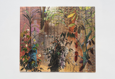 LZ00623_Paisagem_Inútil