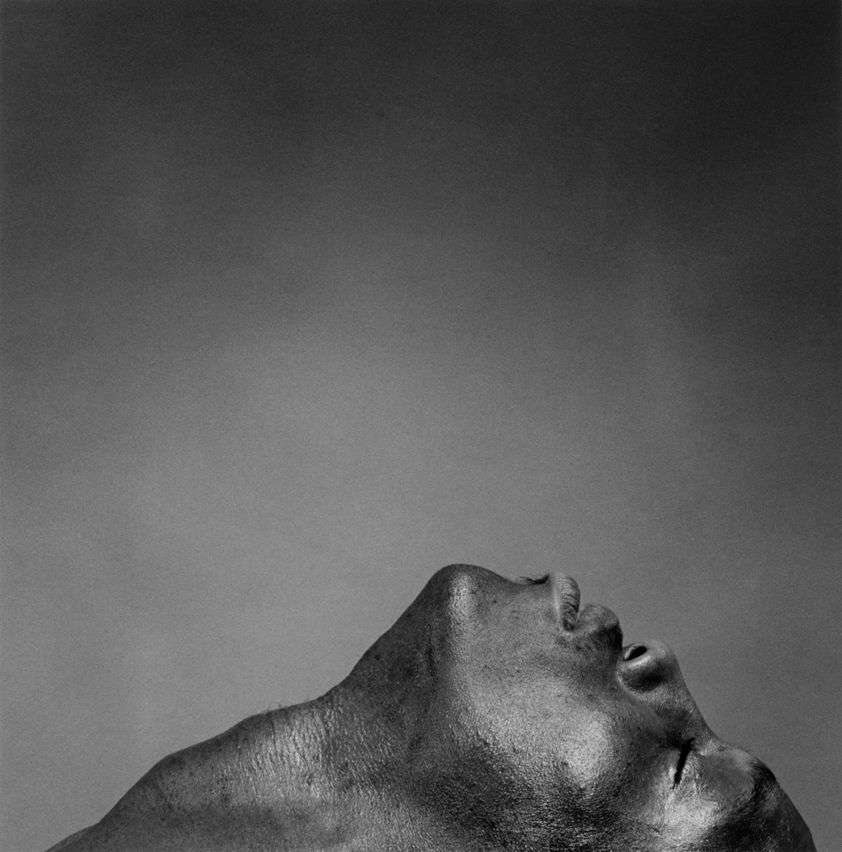 Robert Mapplethorpe - Artistas - Fortes D'Aloia & Gabriel