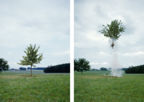 MS00027_Raketenbaum_DDH1