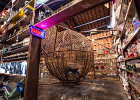 NR_Globo_Pré_SESC.P_ddh (7)