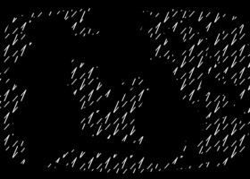 Tamar Guimarães - portfolio1