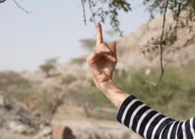 Tamar Guimarães - portfolio17