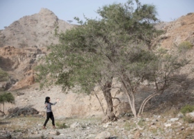 Tamar Guimarães - portfolio18