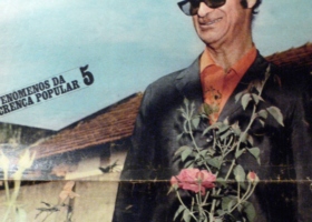 Tamar Guimarães - portfolio25