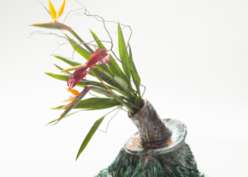 TCC10081_Latinoamericano com Flores_DDH6