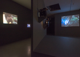 JMP_Papagaio_Camden Art Center13