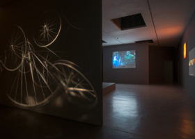 JMP_Papagaio_Camden Art Center31