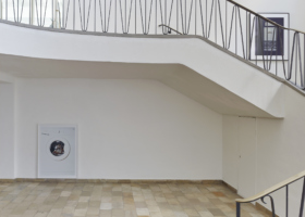 JMP_The Missing Hippopotamus_DDHf