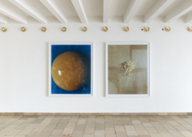 JMP_The Missing Hippopotamus_DDHg