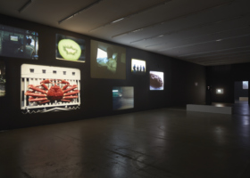 JMP_The Sleeping Eskimo_Aargauer Kunsthaus_DDH32