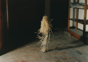 JMP00095_Corpo da Palha_DDH