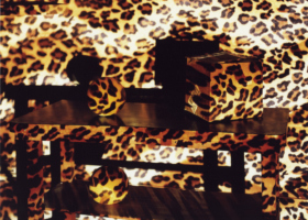 JMP00236_O Problema de Molyneux_DDH