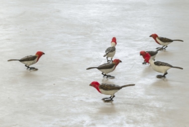 66665431-big-760x512-acf-cropped