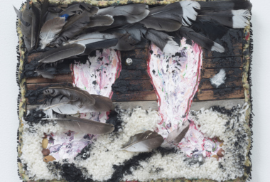 DRR00000_New Walk_DDH