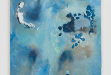 GAL00065_Natural Selection (double six set)