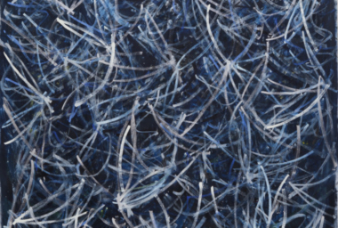 gm10156-ascending-butterflies-ddh-760x512-acf-cropped