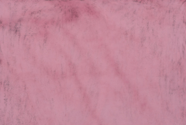 sej10009-a-lingua-760x512-acf-cropped