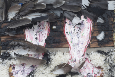 drr00000-new-walk-ddh-1160x832-acf-cropped